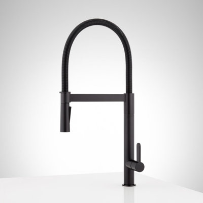 Signature Hardware Ocala Single-Hole Kitchen Faucet With Pull-Down ...